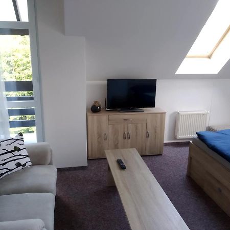 Apartman Violeta Harrachov Dış mekan fotoğraf
