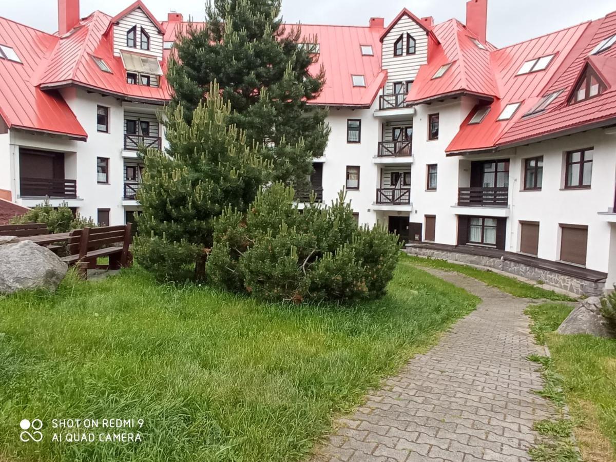 Apartman Violeta Harrachov Dış mekan fotoğraf
