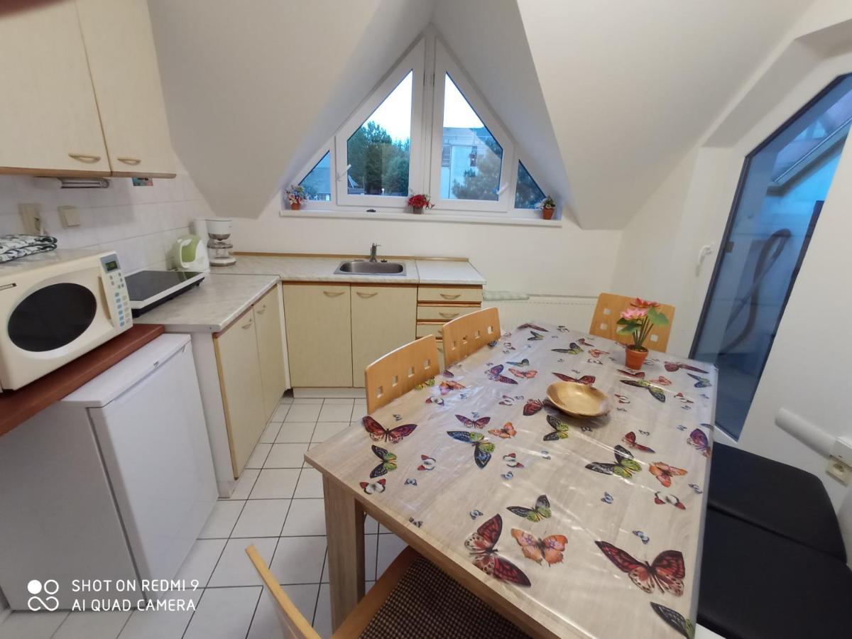 Apartman Violeta Harrachov Dış mekan fotoğraf