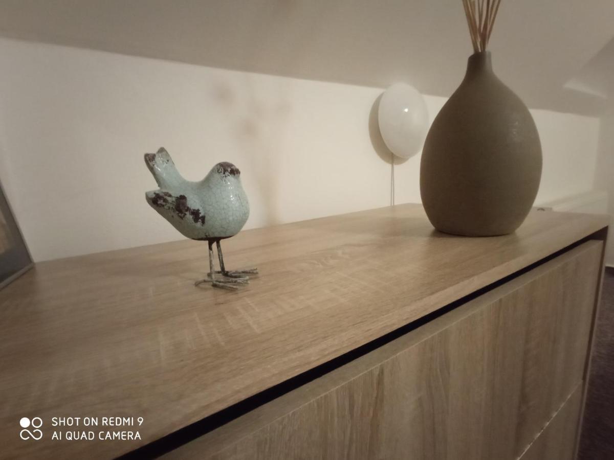 Apartman Violeta Harrachov Dış mekan fotoğraf